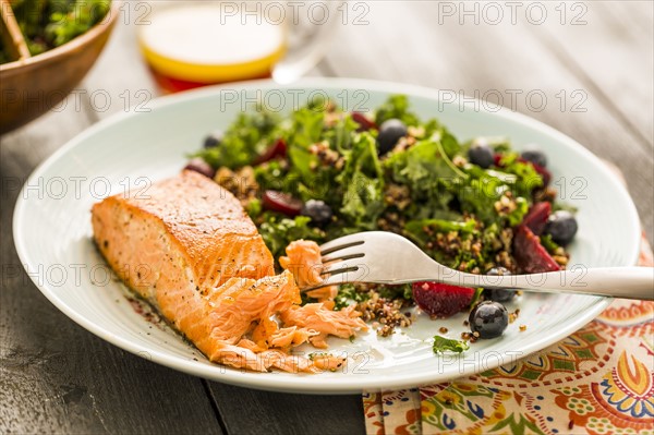 Salmon with salad on plate