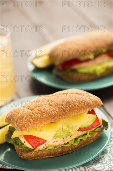 Fresh sandwich on plate