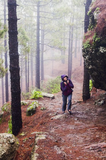 Spain, Canary Islands, Gran Canaria, Trail to Roque Nublo, Mid adult woman hiking in misty forest