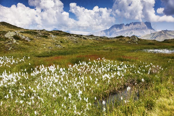 France, Auvergne-Rhone-Alpes, Trail in Reserve Naturelle de Carlaveyron