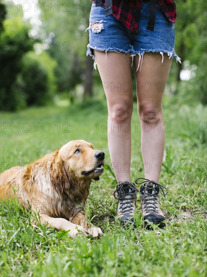 Dog lying beside young woman in shorts