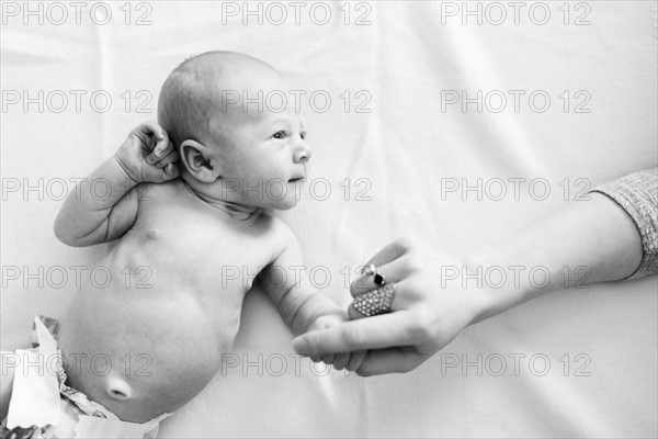 Portrait of newborn boy ( 0-1 months ) holding mother's hand