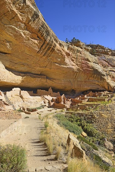 USA, Colorado, Long House pueblo ruin under cliff in Mesa Verde National Park