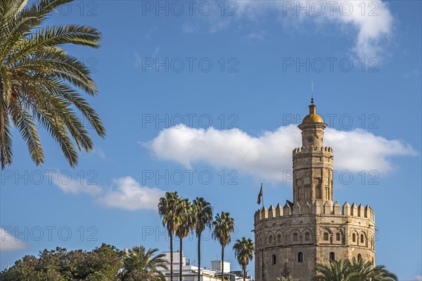 Spain, Seville, Torre Del Oro on sunny day