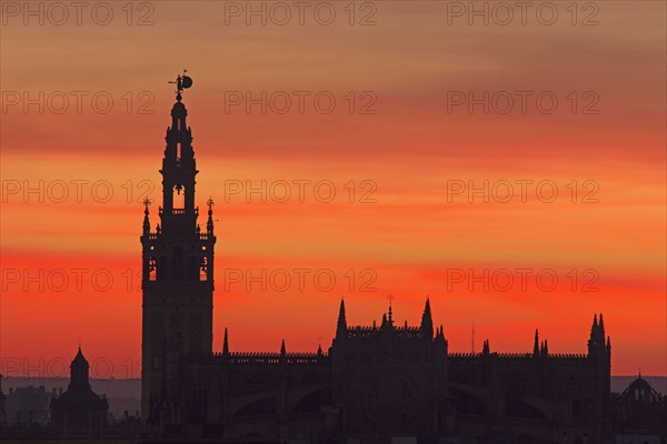 Spain, Seville, Silhouette of Giralda and Cathedral of Sevilla at sunset