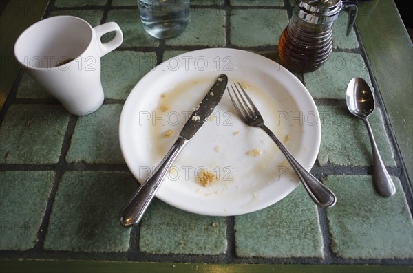 Empty plate with fork and knife