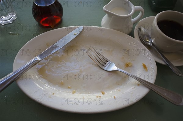 Empty plate with fork and knife