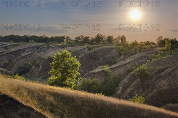 Ukraine, Dnepropetrovsk, Meadow with hills at sunrise