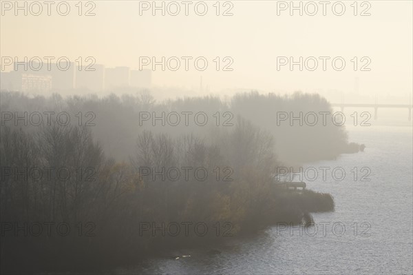 Ukraine, Dnepropetrovsk, Forest and river at foggy dawn