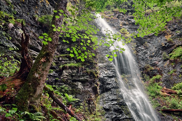 Ukraine, Zakarpattia, Rakhiv district, Carpathians, Scenic view of waterfall