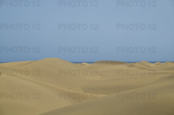 Spain, Gran Canaria, Maspalomas, Desert on sunny day