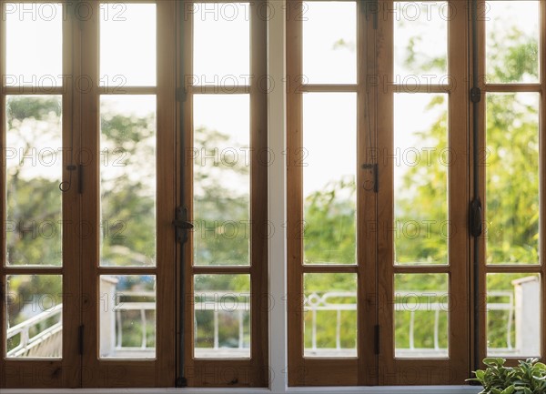 Trees seen through window