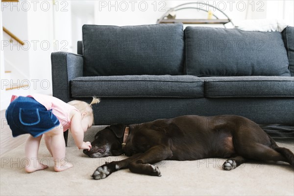 Small girl (2-3) stroking dog in living room