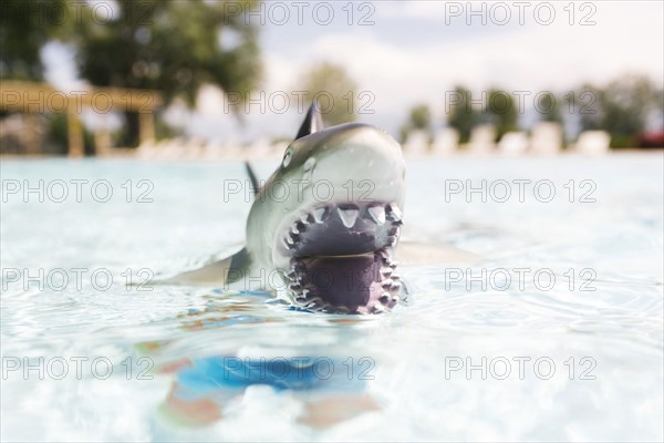 Boy (6-7) playing with toy shark in swimming pool