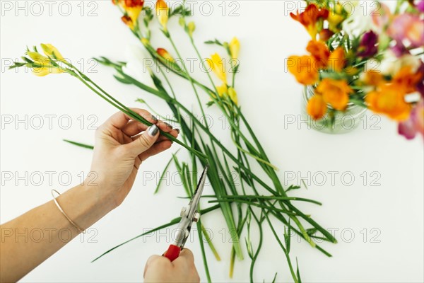 Woman cutting flowers