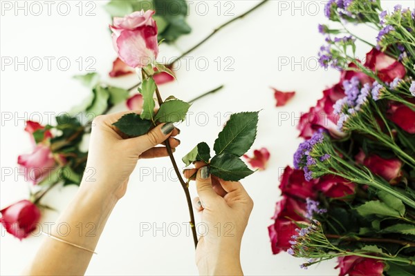 Woman holding rose