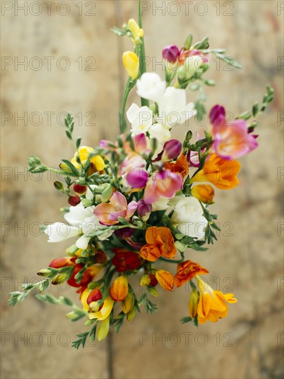 Bouquet of freesias