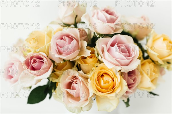 Bouquet of roses