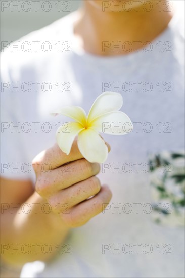 Young man with plumeria flower in hand