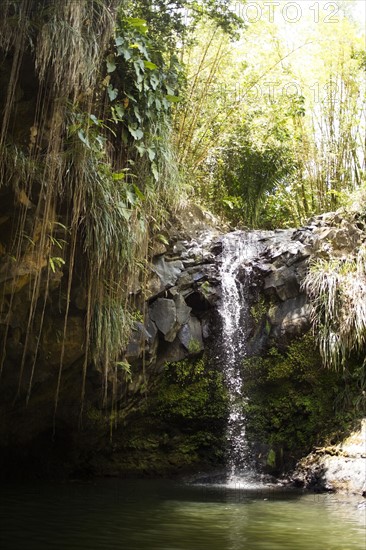 Caribbean Islands, Saint Lucia, Waterfall in forest