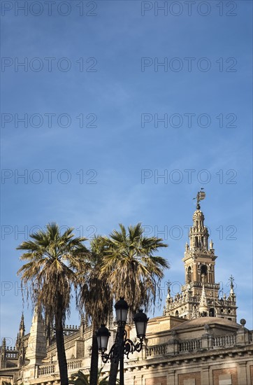 Spain, Andalusia, Seville, Giralda Tower with palm trees in foreground