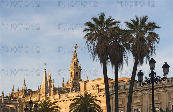 Spain, Andalusia, Seville, Giralda Tower and cathedral with palm trees in foreground