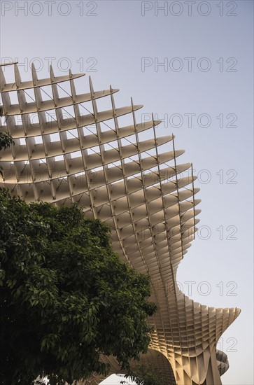 Spain, Seville, Part of Metropol Parasol and trees