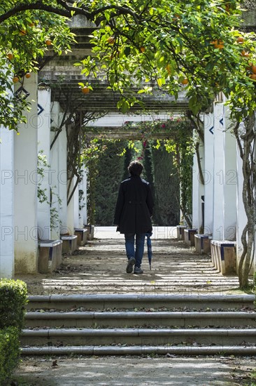 Spain, Seville, Maria Luisa Park, Woman walking through park