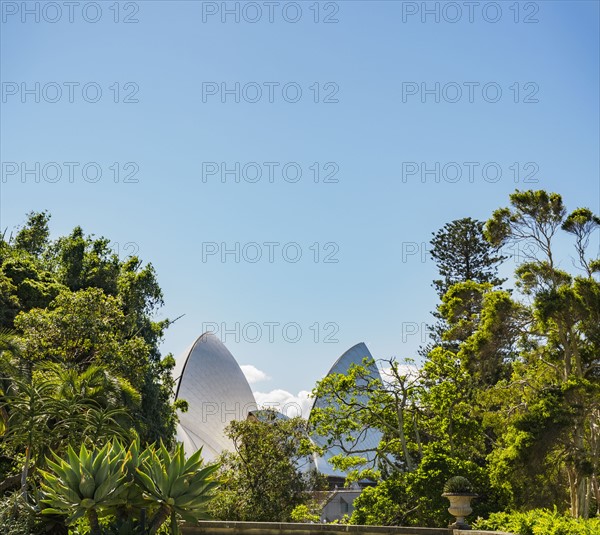 Australia, New South Wales, Sydney, Sydney Opera House behind trees