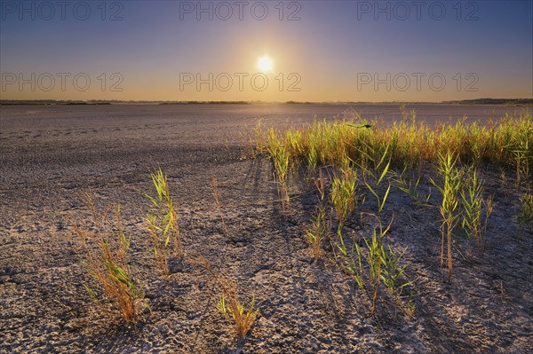 Ukraine, Dnepropetrovsk Region, Novomoskovskiy District, Lake Soleniy Lyman, Desert at sunset