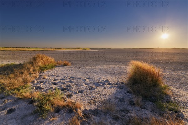 Ukraine, Dnepropetrovsk Region, Novomoskovskiy District, Lake Soleniy Lyman, Desert at sunset