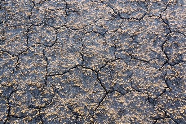 Overhead view of cracked desert