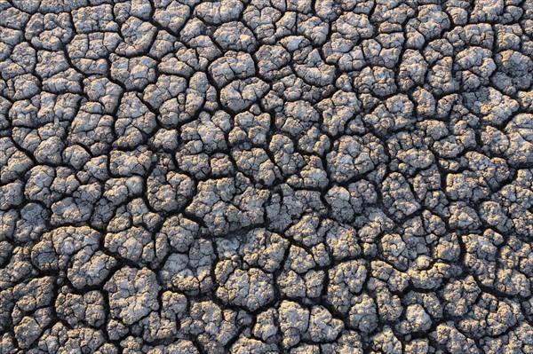 Overhead view of cracked desert