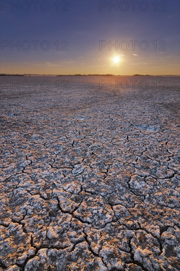 Ukraine, Dnepropetrovsk Region, Novomoskovskiy District, Lake Soleniy Lyman, Desert at sunset