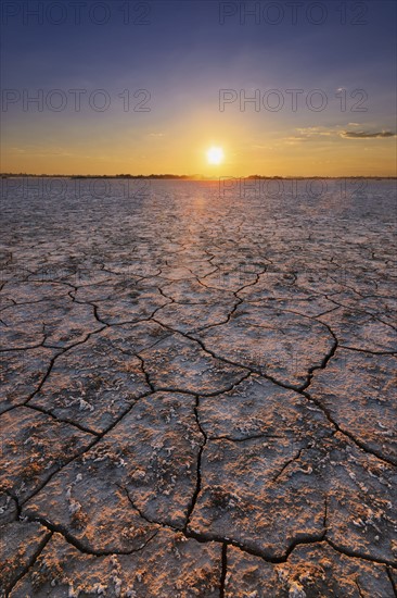 Ukraine, Dnepropetrovsk Region, Novomoskovskiy District, Lake Soleniy Lyman, Desert at sunset