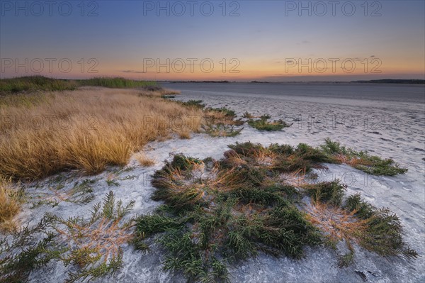 Ukraine, Dnepropetrovsk Region, Novomoskovskiy District, Lake Soleniy Lyman, Desert at sunset