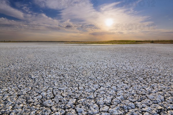 Ukraine, Dnepropetrovsk Region, Novomoskovskiy District, Lake Soleniy Lyman, Desert at sunset