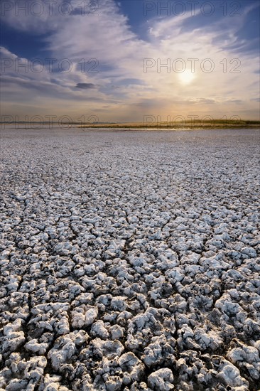 Ukraine, Dnepropetrovsk Region, Novomoskovskiy District, Lake Soleniy Lyman, Desert at sunset