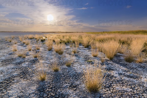 Ukraine, Dnepropetrovsk Region, Novomoskovskiy District, Lake Soleniy Lyman, Desert at sunset