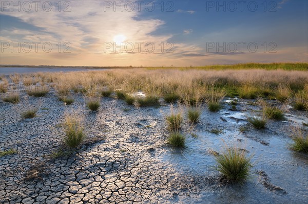 Ukraine, Dnepropetrovsk Region, Novomoskovskiy District, Lake Soleniy Lyman, Desert at sunset