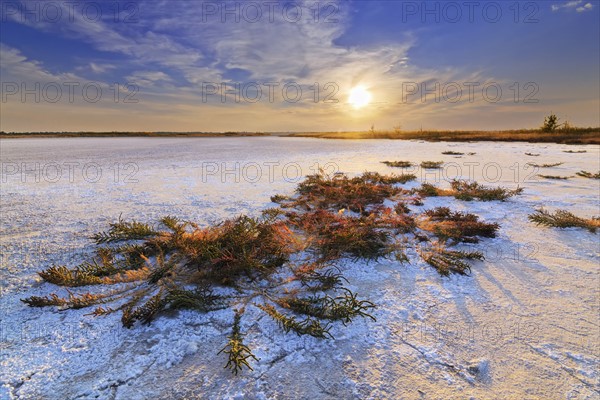 Ukraine, Dnepropetrovsk Region, Novomoskovskiy District, Lake Soleniy Lyman, Desert at sunset