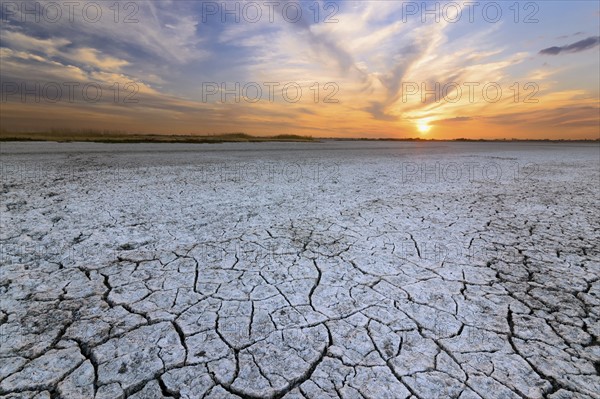 Ukraine, Dnepropetrovsk Region, Novomoskovskiy District, Lake Soleniy Lyman, Desert at sunset