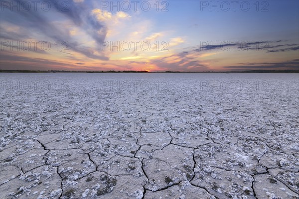 Ukraine, Dnepropetrovsk Region, Novomoskovskiy District, Lake Soleniy Lyman, Desert at sunset