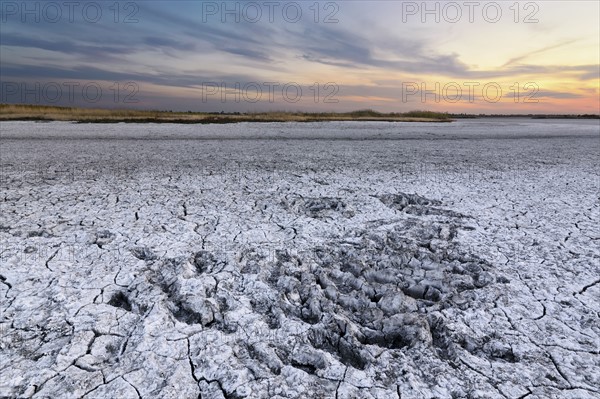 Ukraine, Dnepropetrovsk Region, Novomoskovskiy District, Lake Soleniy Lyman, Desert at sunset