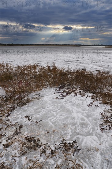 Ukraine, Dnepropetrovsk Region, Novomoskovskiy District, Lake Soleniy Lyman, Desert at sunset