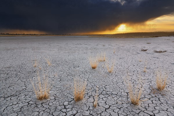 Ukraine, Dnepropetrovsk Region, Novomoskovskiy District, Lake Soleniy Lyman, Stormy clouds over desert