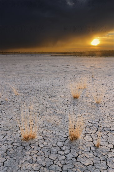 Ukraine, Dnepropetrovsk Region, Novomoskovskiy District, Lake Soleniy Lyman, Stormy clouds over desert