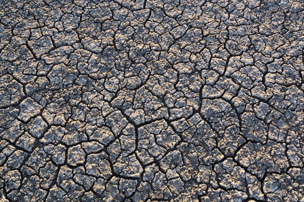 Overhead view of cracked desert