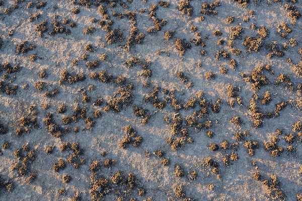 Aerial view of desert