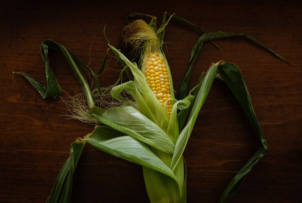 Fresh corn on wooden table